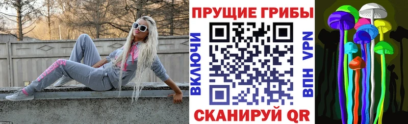 купить закладку  Нефтекамск  Псилоцибиновые грибы Psilocybe 